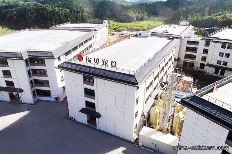 福贝内修外练再落一子，联合圣农解决原材焦虑