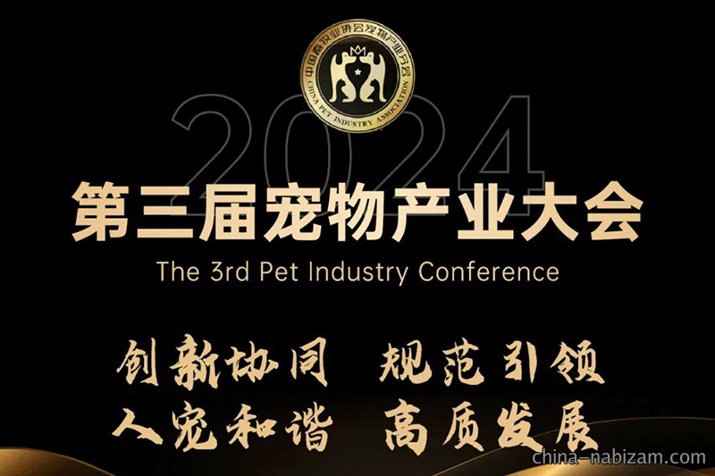 福贝宠食黄莉：时代变轨，用创新赢得市场，用洞察找到增长路径