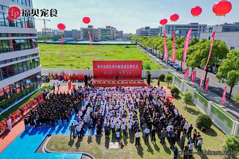 企业活动|凝心「巨」力  创「享」未来——福贝集团总部中心大楼落成仪式圆满礼成